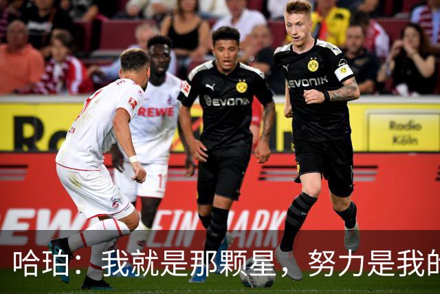 哈珀：我就是那颗星，努力是我的燃料！